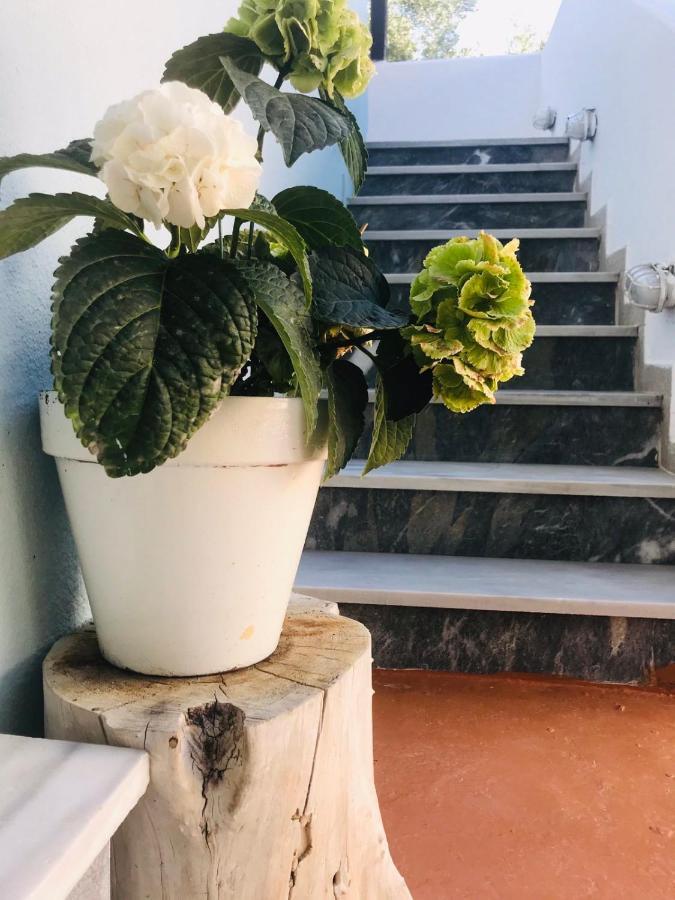 Douvas House Apartment Торони Екстериор снимка